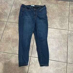 Molly & Isadora size 14 ankle skinny jeans.